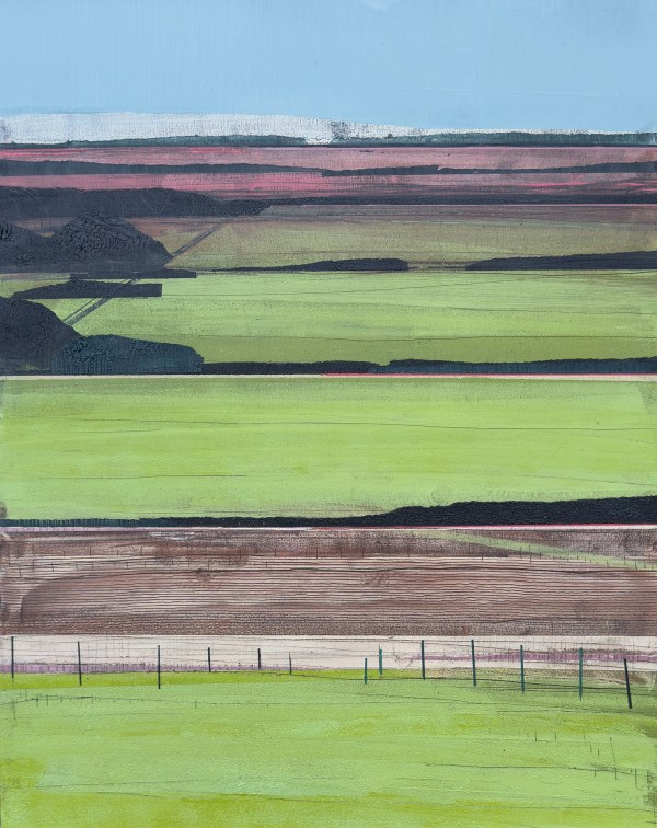 Summer Camping Fields - Study II (2025)