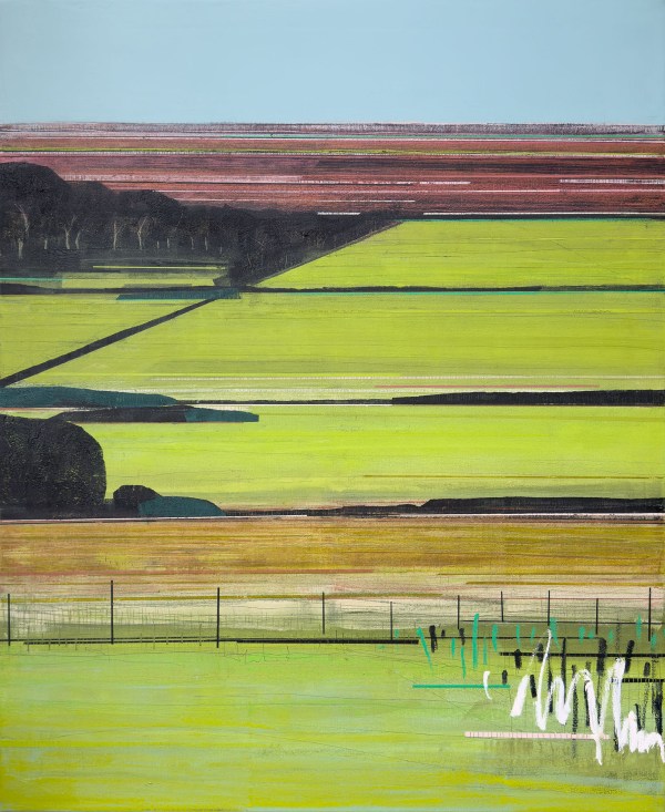 Summer Camping Fields V - Burnham Overy Staithe
